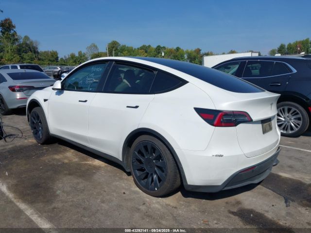 2023 TESLA MODEL Y 7SAYGDEE8PF633550 Photo 2