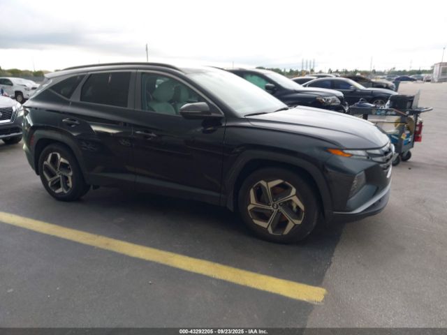 2024 HYUNDAI TUCSON 5NMJF3DEXRH320739