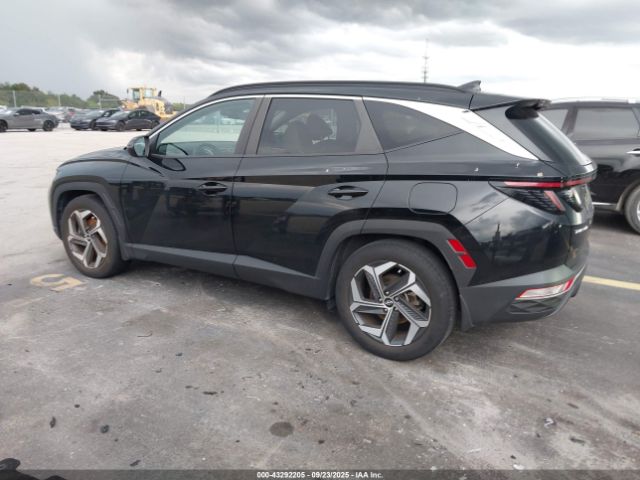 2024 HYUNDAI TUCSON 5NMJF3DEXRH320739 Photo 2