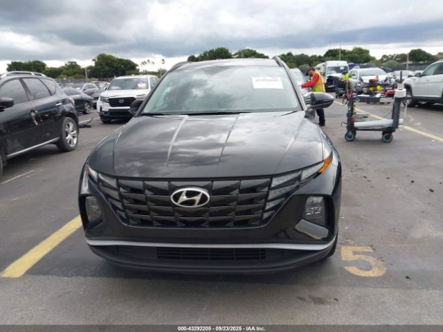 2024 HYUNDAI TUCSON 5NMJF3DEXRH320739 Photo 5