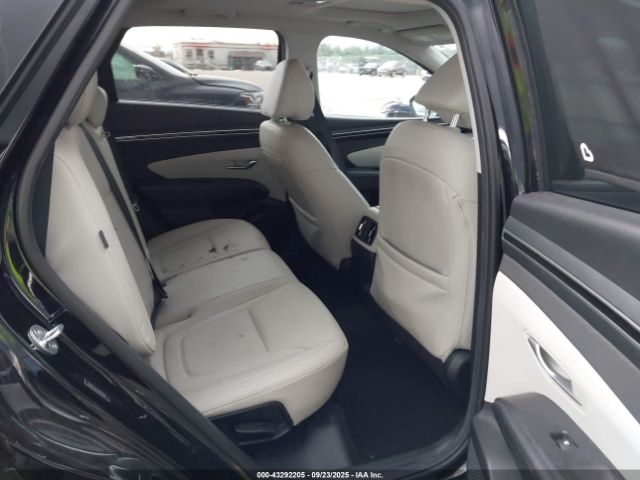 2024 HYUNDAI TUCSON 5NMJF3DEXRH320739 Photo 7