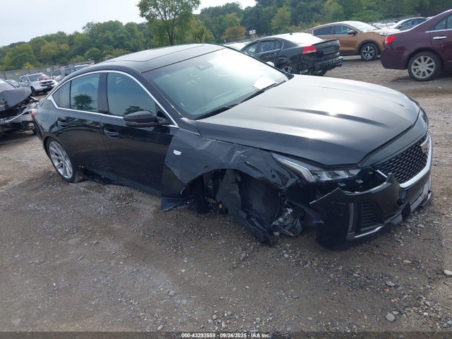 2024 CADILLAC CT5 1G6DW5RK5R0121592 Photo 0