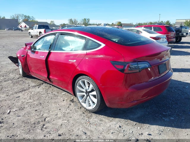 2019 TESLA MODEL 3 5YJ3E1EB9KF530034 Photo 2
