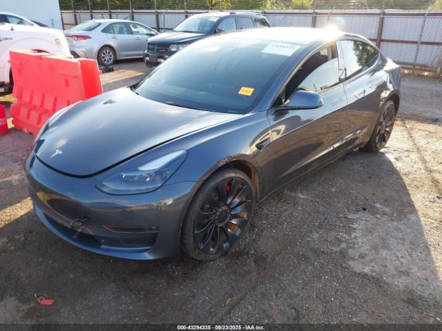 2023 TESLA MODEL 3 5YJ3E1EC2PF491559 Photo 1