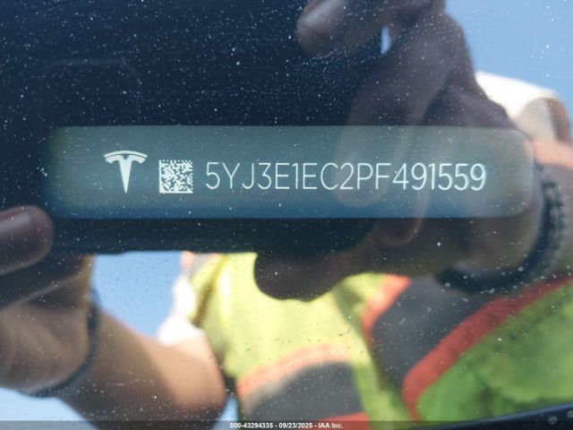 2023 TESLA MODEL 3 5YJ3E1EC2PF491559 Photo 8