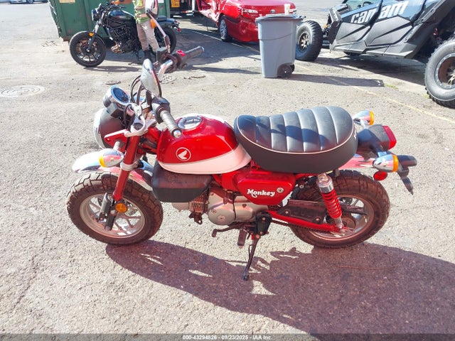 Honda 2019 2019 MLHJB0217K5002139 Image 12