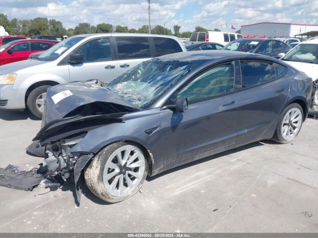 2023 TESLA MODEL 3 5YJ3E1EA0PF569044 Photo 1