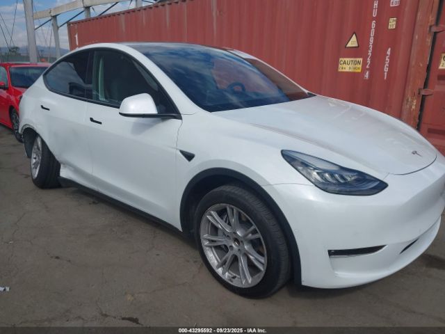 2021 TESLA MODEL Y 5YJYGDED0MF133544 Photo 0