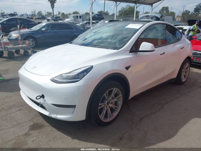 2021 TESLA MODEL Y 5YJYGDED0MF133544 Photo 1