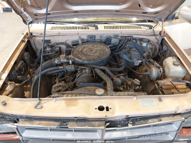 1987 DODGE DAKOTA 1B7GR14M4HS512318 Photo 9