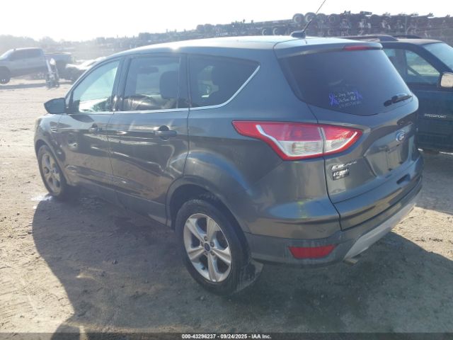 2015 FORD ESCAPE 1FMCU0G79FUB87790 Photo 2