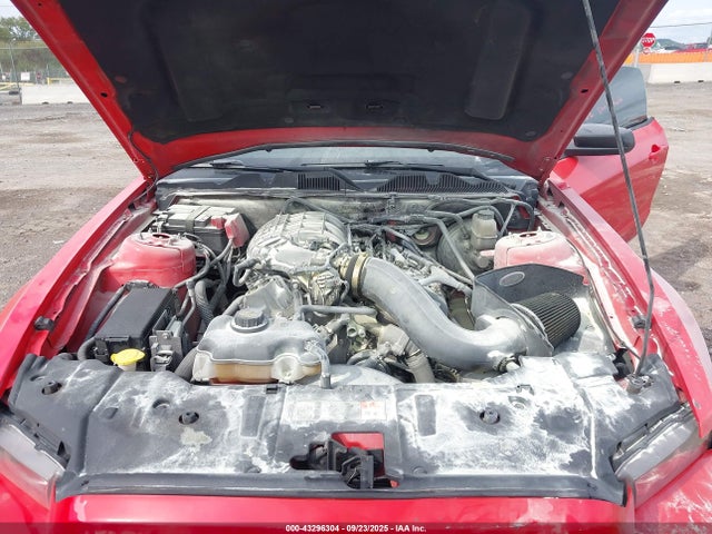 1ZVBP8AM7E5288210 Ford Mustang