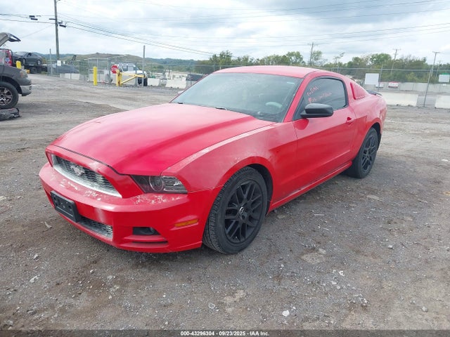 1ZVBP8AM7E5288210 Ford Mustang
