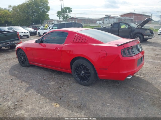 1ZVBP8AM7E5288210 Ford Mustang