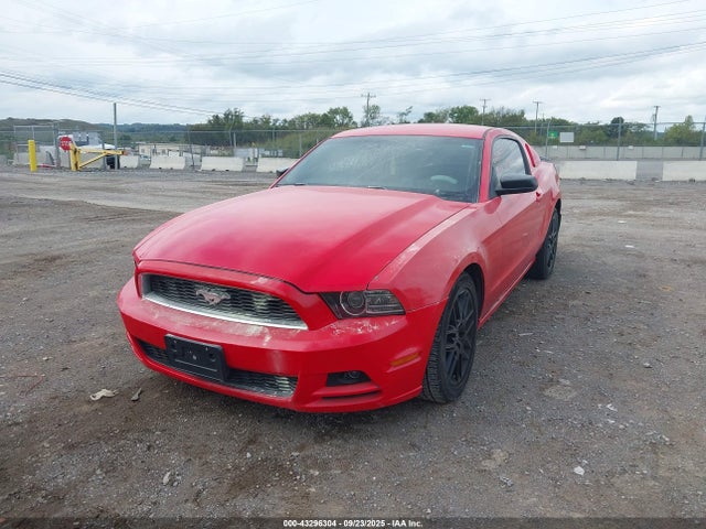 1ZVBP8AM7E5288210 Ford Mustang