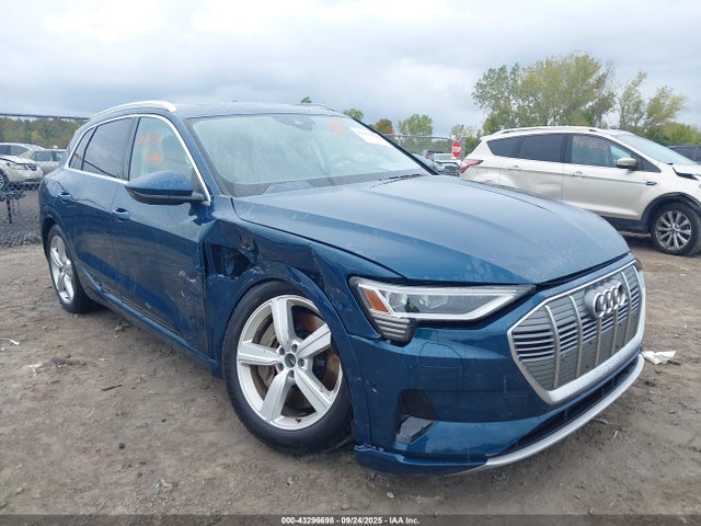 2019 AUDI E-TRON WA1VAAGE5KB021678 Photo 0