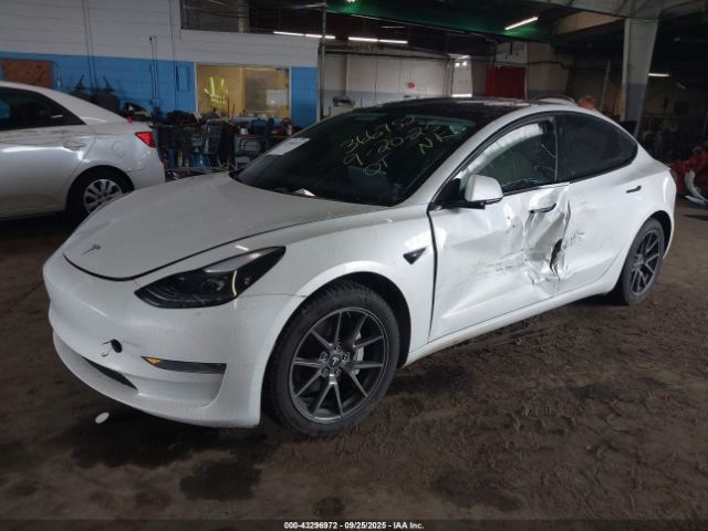 2021 TESLA MODEL 3 5YJ3E1EA6MF009508 Photo 1