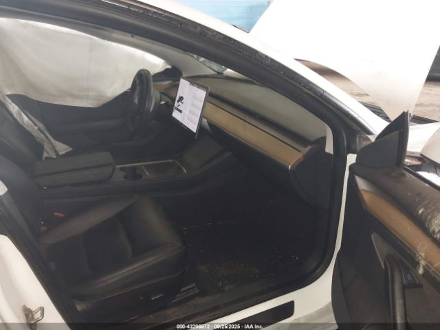 2021 TESLA MODEL 3 5YJ3E1EA6MF009508 Photo 4