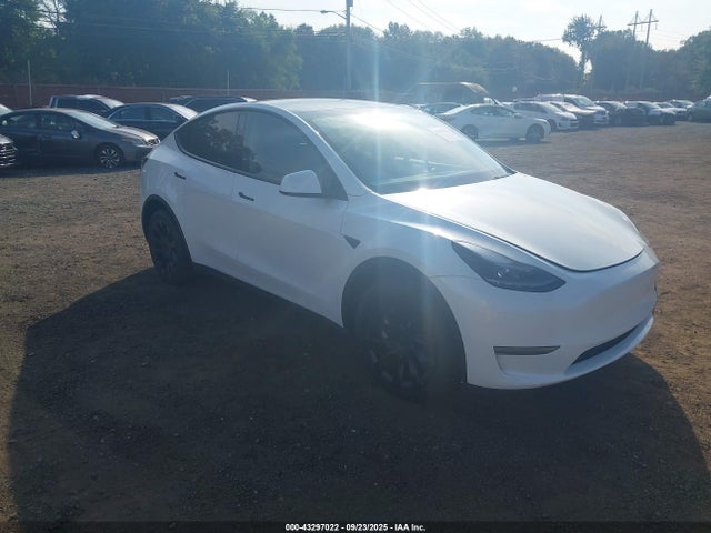 2024 TESLA MODEL Y 7SAYGDED1RF047637 Photo 0