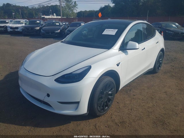 2024 TESLA MODEL Y 7SAYGDED1RF047637 Photo 5