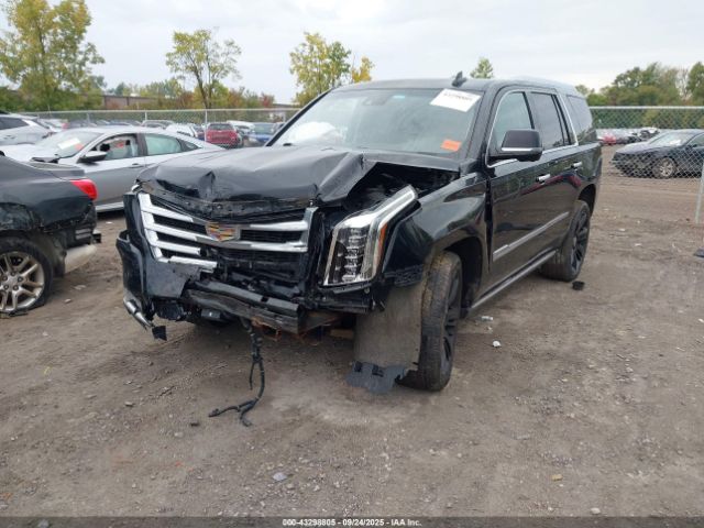 2016 CADILLAC ESCALADE 1GYS4CKJ2GR324913 Photo 1