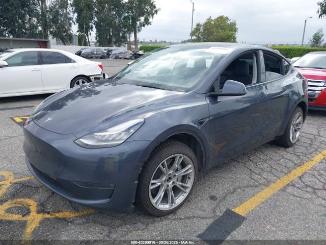 2023 TESLA MODEL Y 7SAYGDEE9PA114231 Photo 1