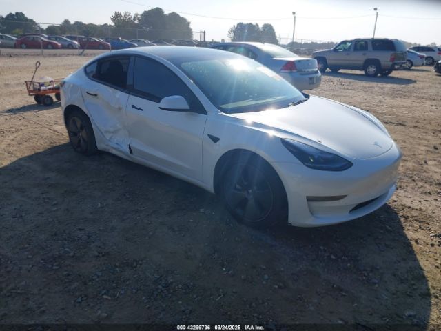 2023 TESLA MODEL 3 5YJ3E1EA8PF489152 Photo 0