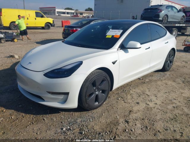 2023 TESLA MODEL 3 5YJ3E1EA8PF489152 Photo 1