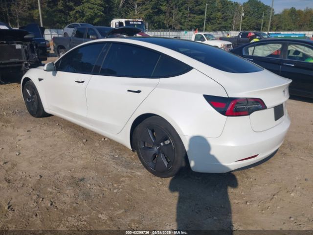 2023 TESLA MODEL 3 5YJ3E1EA8PF489152 Photo 2