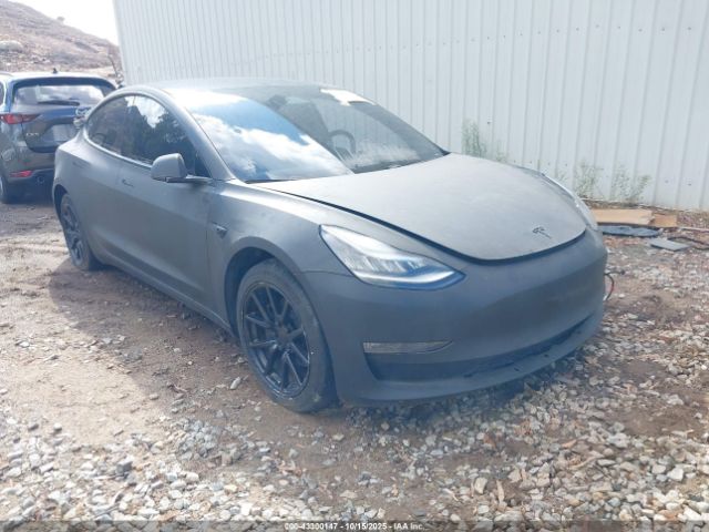 2019 TESLA MODEL 3 5YJ3E1EB4KF384982 Photo 0