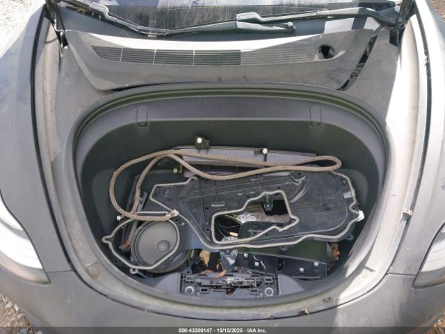 2019 TESLA MODEL 3 5YJ3E1EB4KF384982 Photo 9