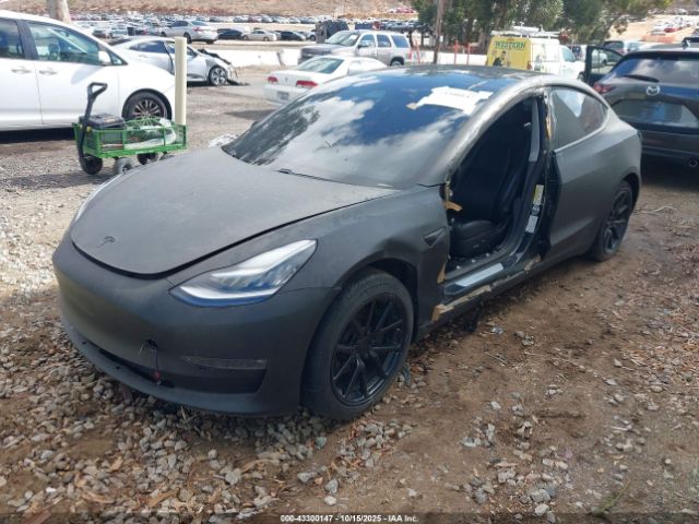 2019 TESLA MODEL 3 5YJ3E1EB4KF384982 Photo 1