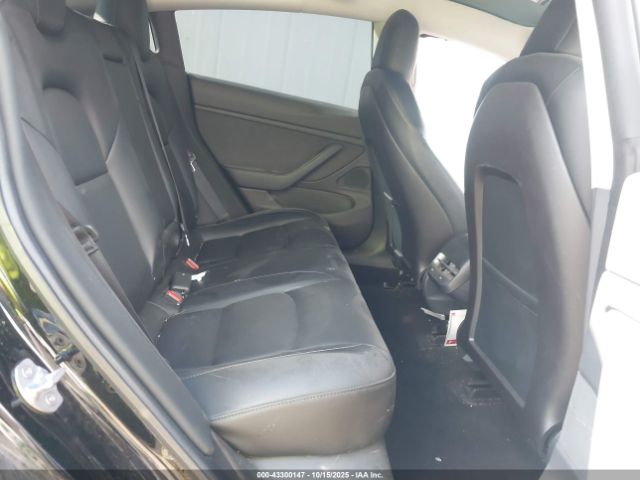 2019 TESLA MODEL 3 5YJ3E1EB4KF384982 Photo 7