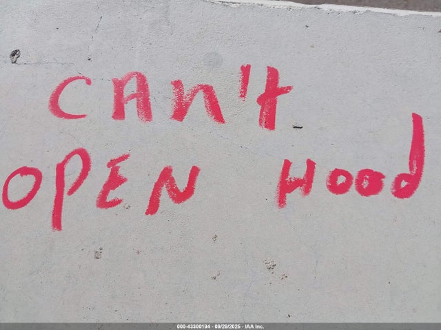 2025 TESLA MODEL Y 7SAYGDEE5SF297221 Photo 9