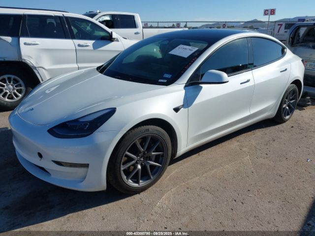 2023 TESLA MODEL 3 5YJ3E1EA6PF598242 Photo 1