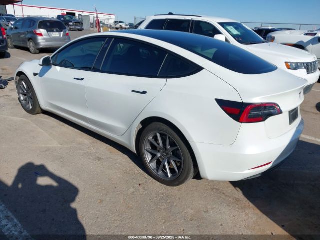 2023 TESLA MODEL 3 5YJ3E1EA6PF598242 Photo 2