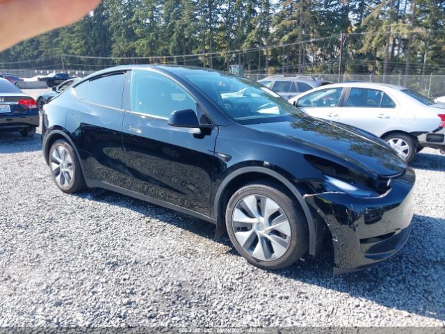 2023 TESLA MODEL Y 7SAYGDEE7PF853133