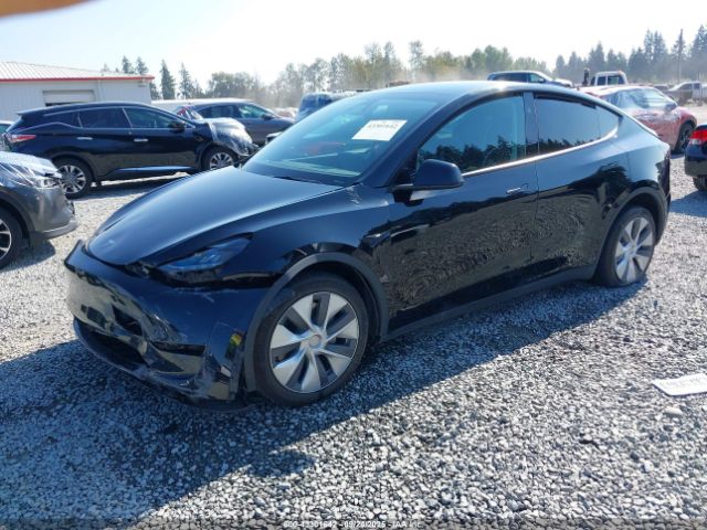 2023 TESLA MODEL Y 7SAYGDEE7PF853133 Photo 1