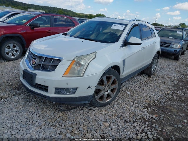 2010 CADILLAC SRX 3GYFNBEY9AS633607 Photo 1