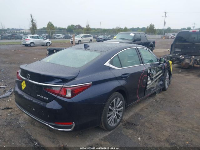 2021 LEXUS ES 250 58AD11D15MU004328 Photo 3