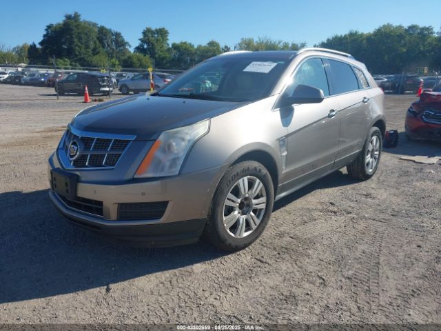 2011 CADILLAC SRX 3GYFNDEY3BS517087 Photo 1