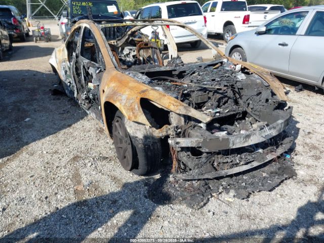 2021 TESLA MODEL 3 5YJ3E1EAXMF976316 Photo 0