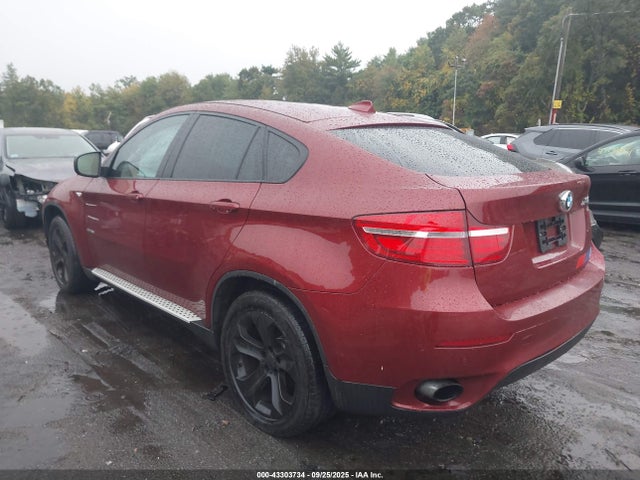 2013 BMW X6 5UXFG2C59DL787834 Photo 2