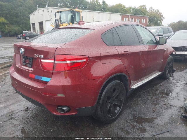 2013 BMW X6 5UXFG2C59DL787834 Photo 3