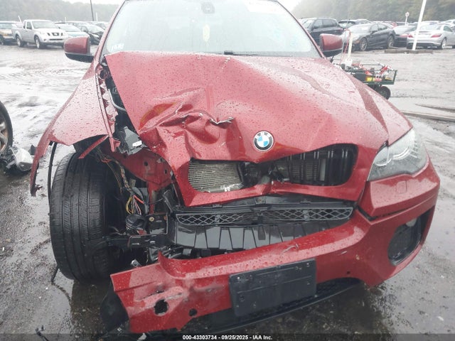 2013 BMW X6 5UXFG2C59DL787834 Photo 5