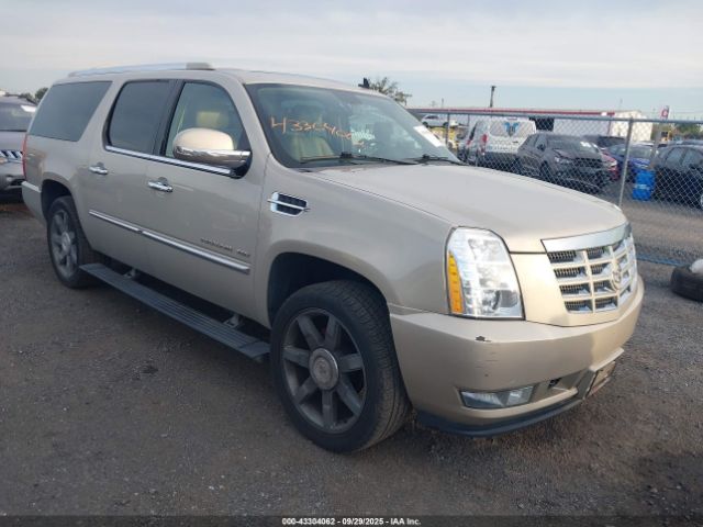 2010 CADILLAC ESCALADE ESV 1GYUKJEF3AR114967