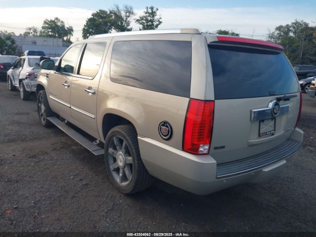 2010 CADILLAC ESCALADE ESV 1GYUKJEF3AR114967 Photo 2
