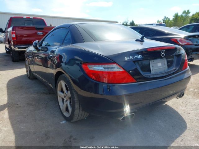 2014 MERCEDES-BENZ SLK 250 WDDPK4HA7EF086043 Photo 2