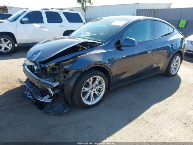 2021 TESLA MODEL Y 5YJYGAEE5MF231184 Photo 1