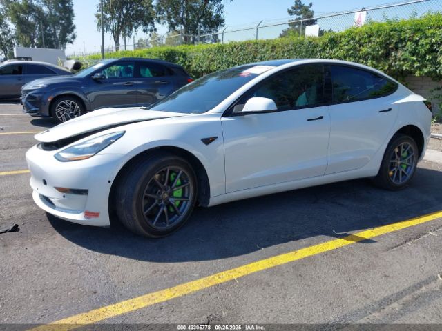 2020 TESLA MODEL 3 5YJ3E1EA6LF615647 Photo 1